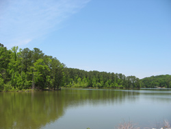 Lake Allatoona, Tanyard Creek