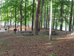 Lake Allatoona, Cooper Branch #1 picnic site