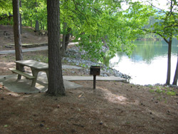 Lake Allatoona, Cooper Branch #1 picnic site