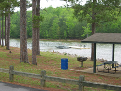 the Field's Landing fishing dock