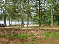 Open pine woods and Lake Acworth